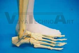 Foot 4-part, foam-sealed 90°